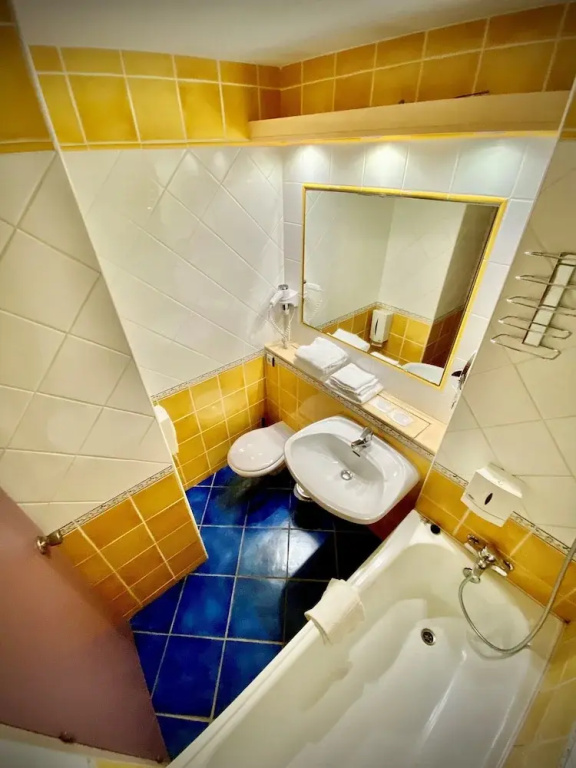 Standard Double room (twin beds)