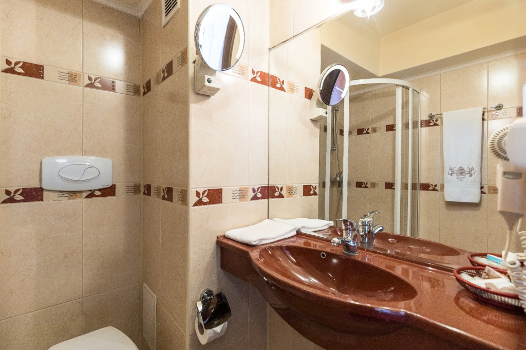 Prahova Plaza Hotel - Chambres