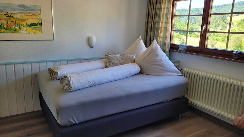 Comfort Single room with view