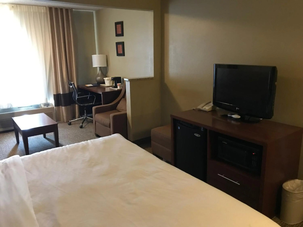 Comfort Inn Idaho Falls - фото 4
