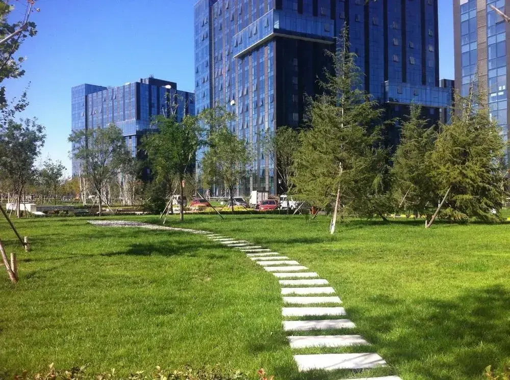Beijing Qingguo International Youth Hostel