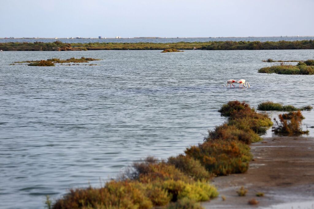 Image 20