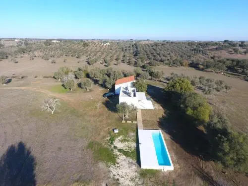casa singular | concept house