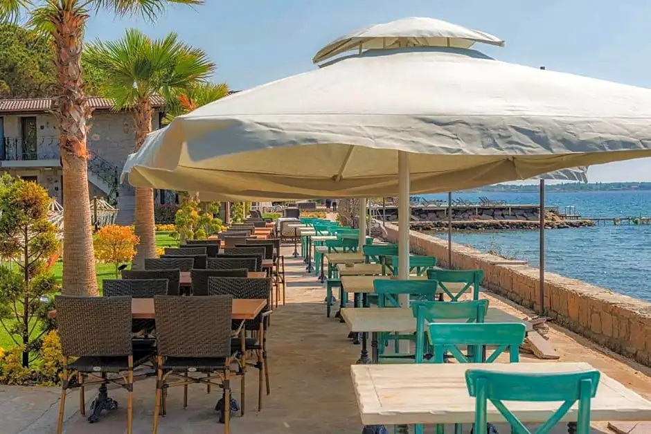 Beach & Waterfront