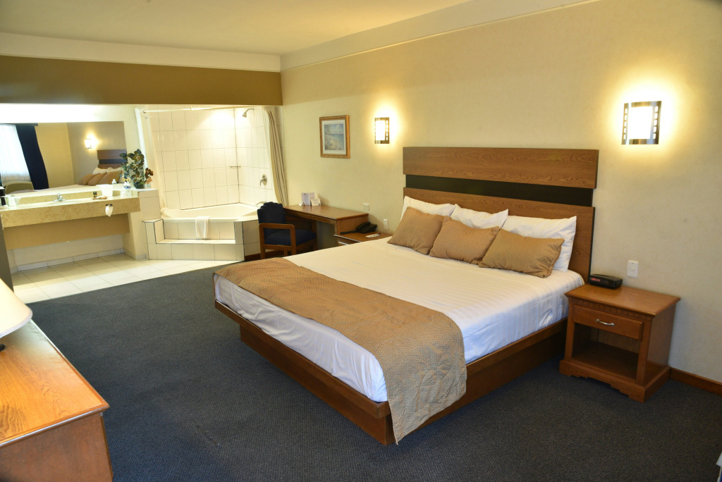 American Inn Hotel & Suites Hidalgo del Parral - Général