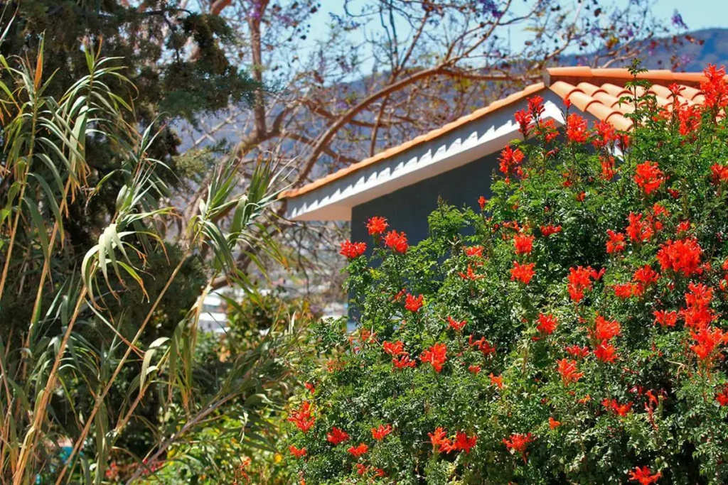 Casa Esther