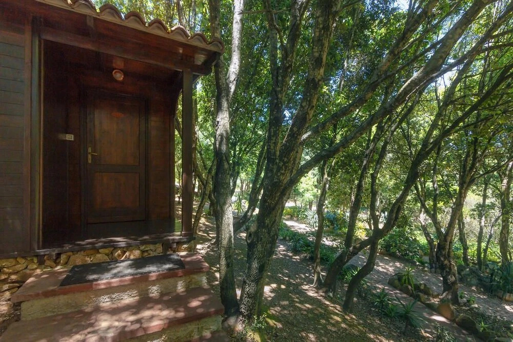 Agriturismo Saltara