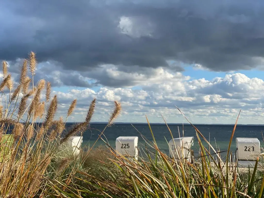 Ferienhaus Kuck-Familien-Strandnah-Terrasse-Hunde-Sport- Und Schwimmbadnahe
