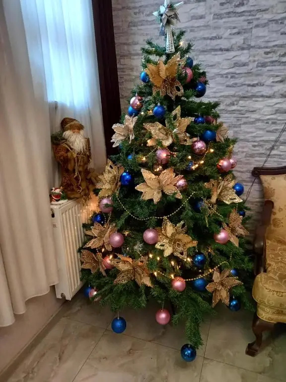 Hotel Zaira - Chambres