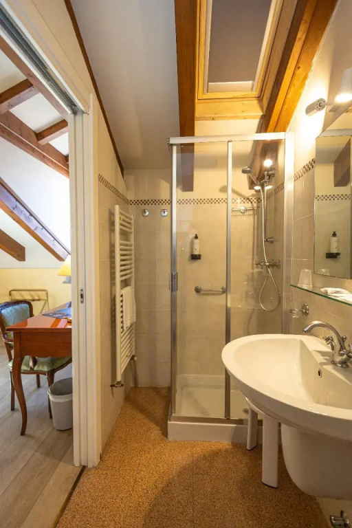 Standard Double room with lake view (full double bed)