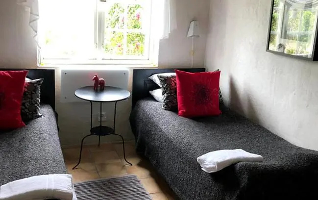 Standard Double room (twin beds)