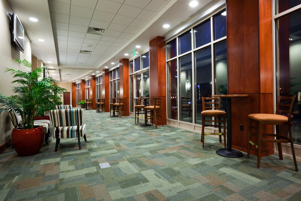 Holiday Inn Madison at The American Center by IHG - Général
