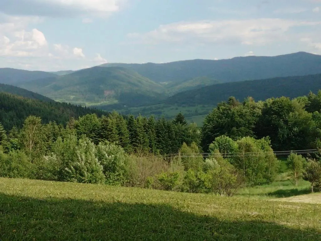 Domek góralski Sasanka