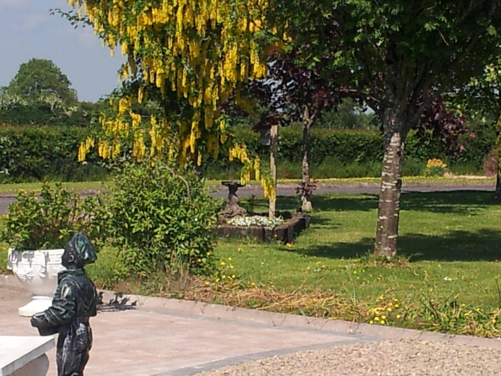 Tir Na Nog B&B