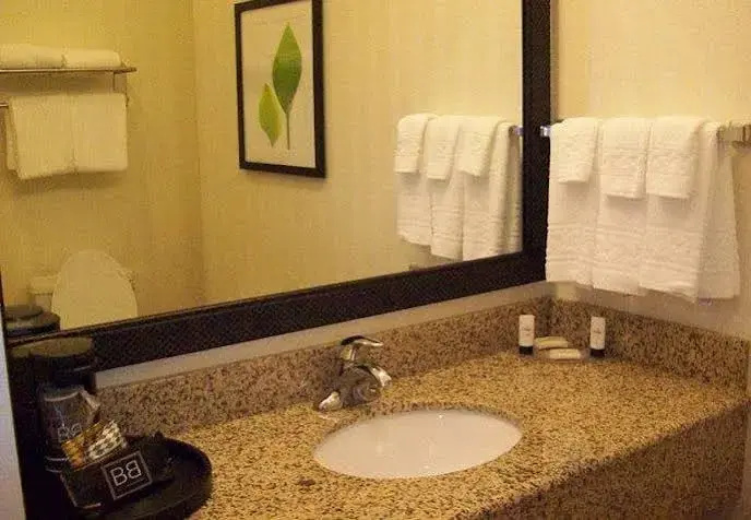 Fairfield Inn & Suites Strasburg Shenandoah Valley - Général