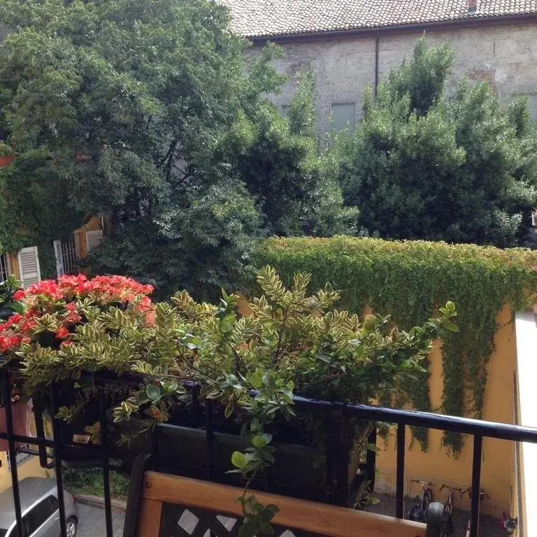 image url