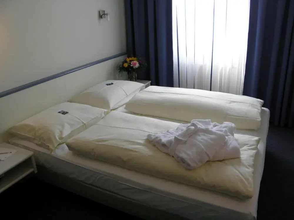 Parkhotel Schotten - Général