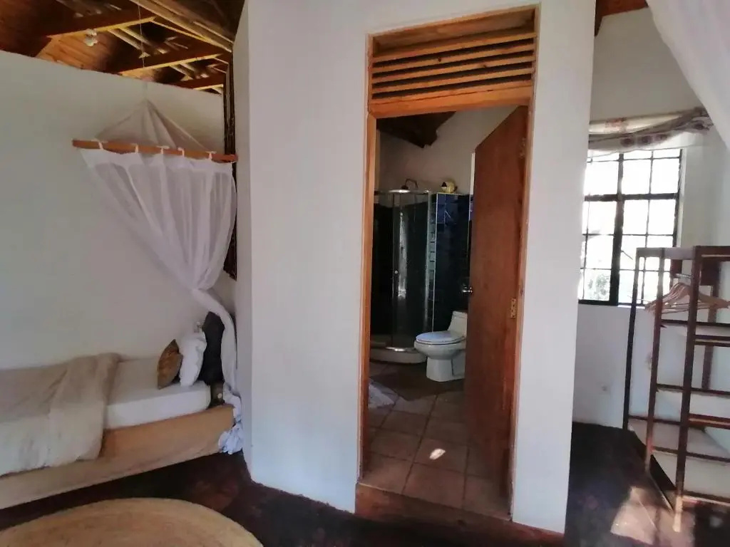 Luxury Double room (twin beds)