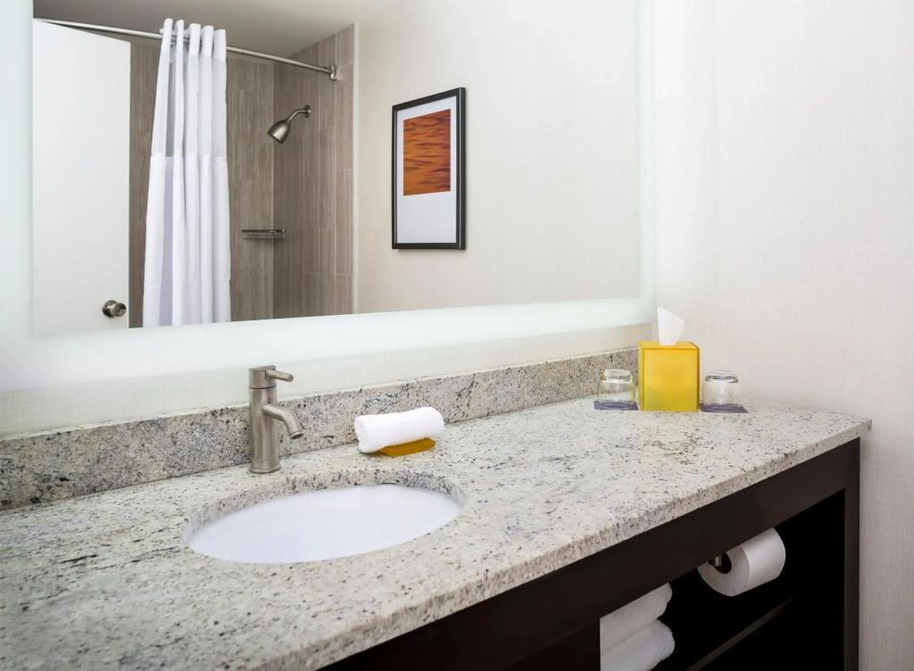 Hyatt Regency Suites Atlanta Northwest - Général