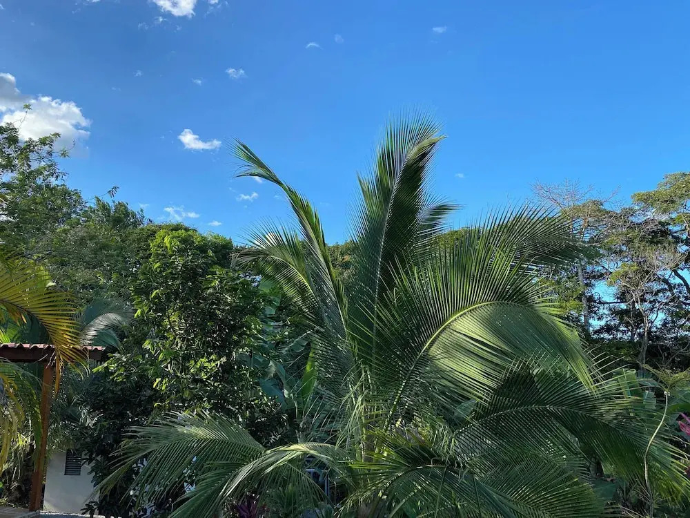 Yakari Grei Bungalows - фото 8