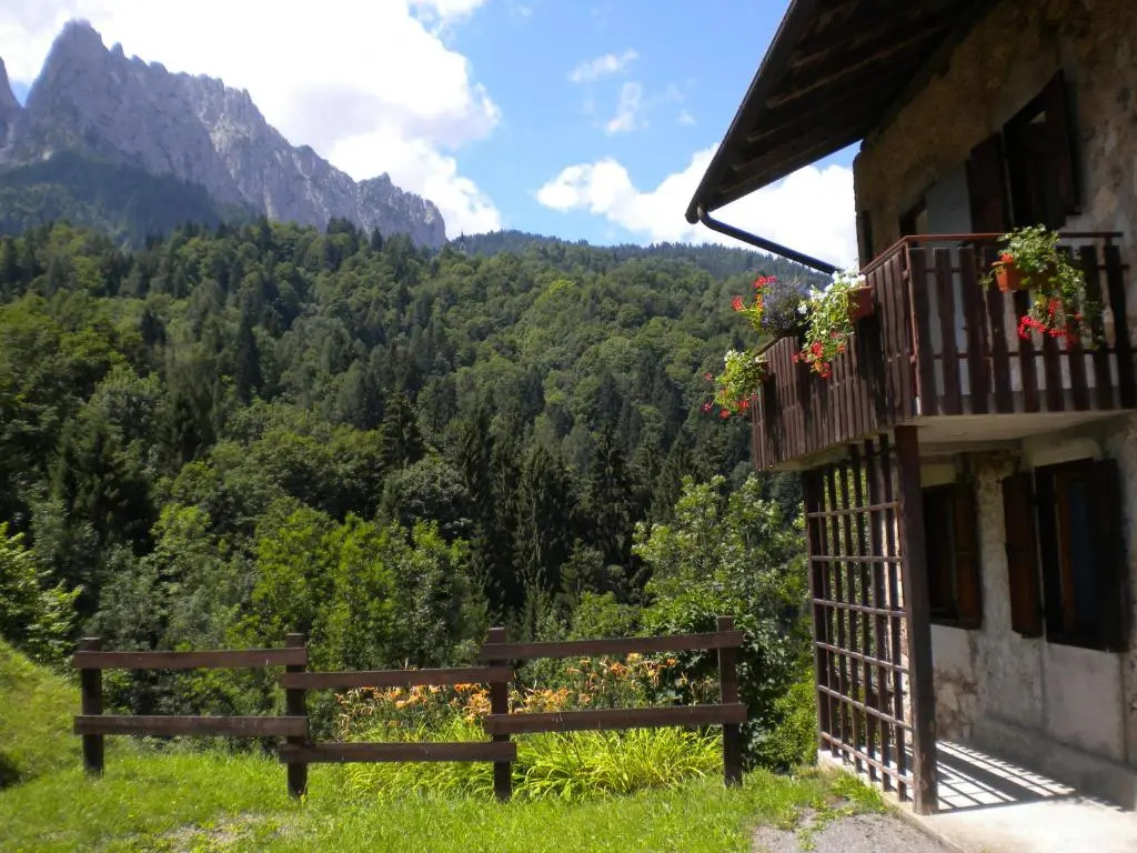 Standard Double room with garden view (twin beds)
