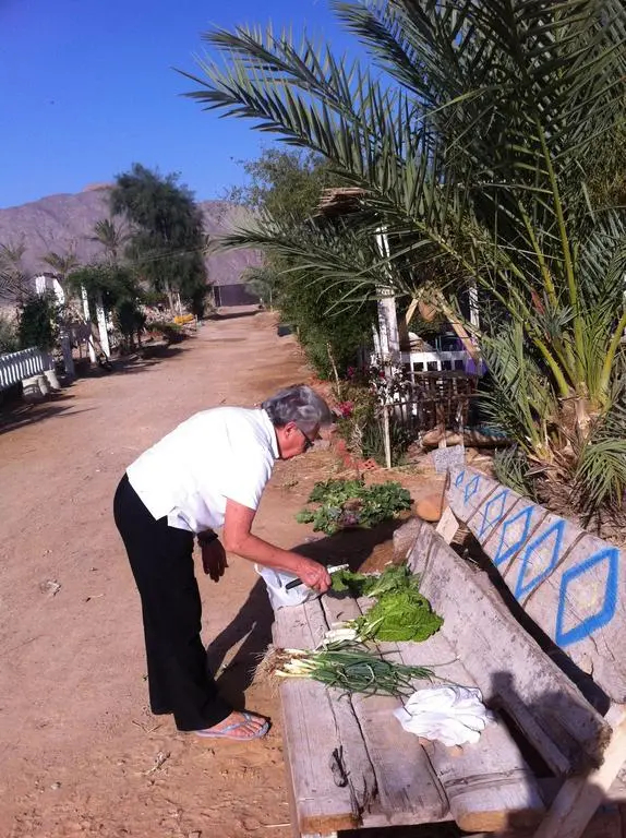 Habiba Organic Farm - фото 5