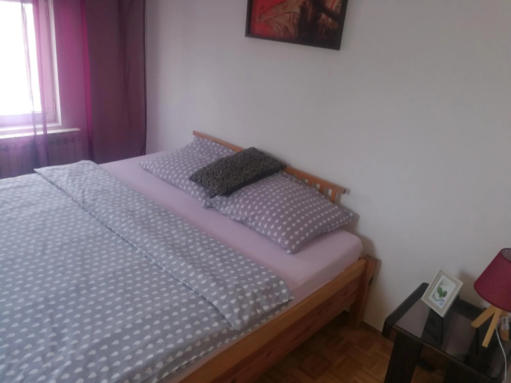 Apartment Nedic