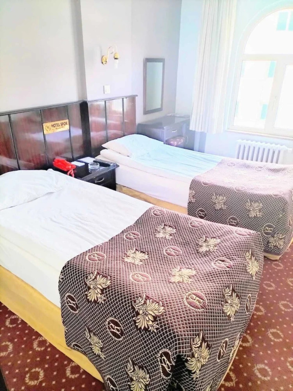 Standard Double room (twin beds)