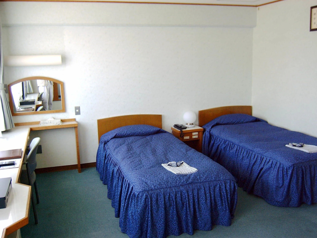 Tokyo Business Hotel - Général