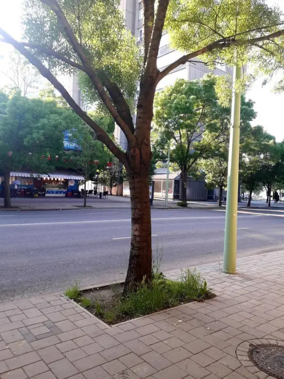 Centrum apartman - фото 4