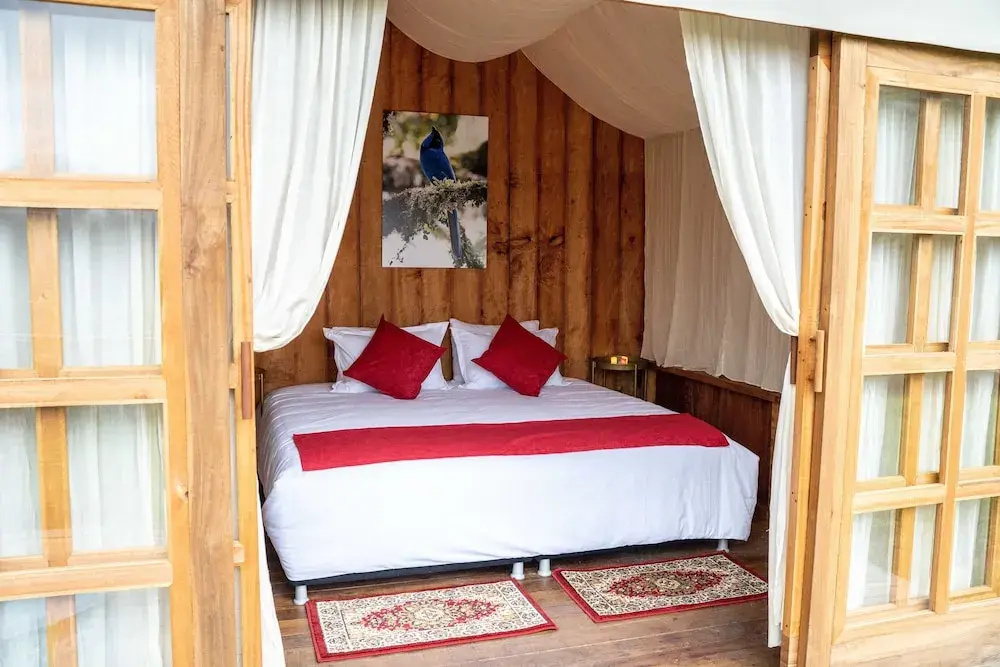 Tent