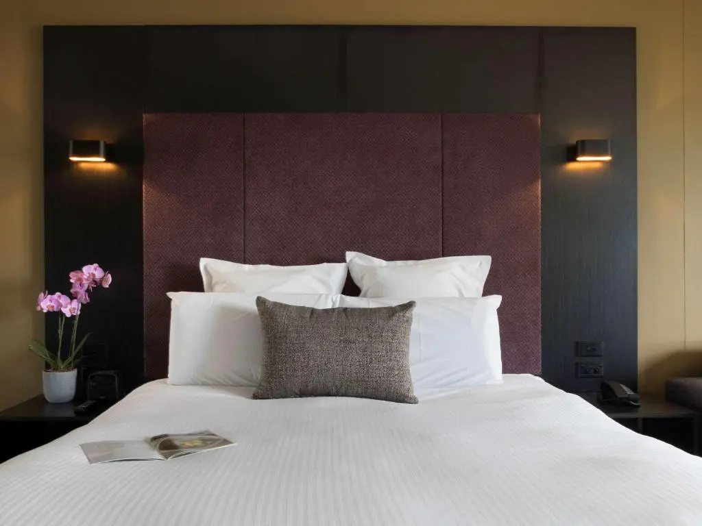 Deluxe Double room with park view (full double bed)