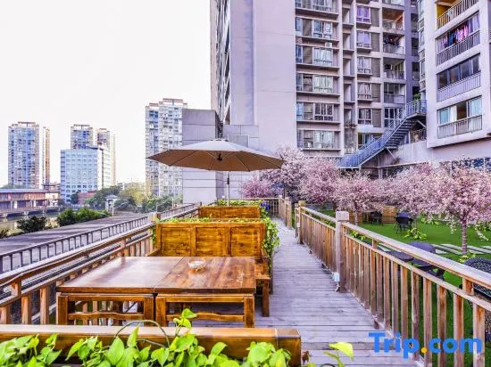 Balcony & Terrace