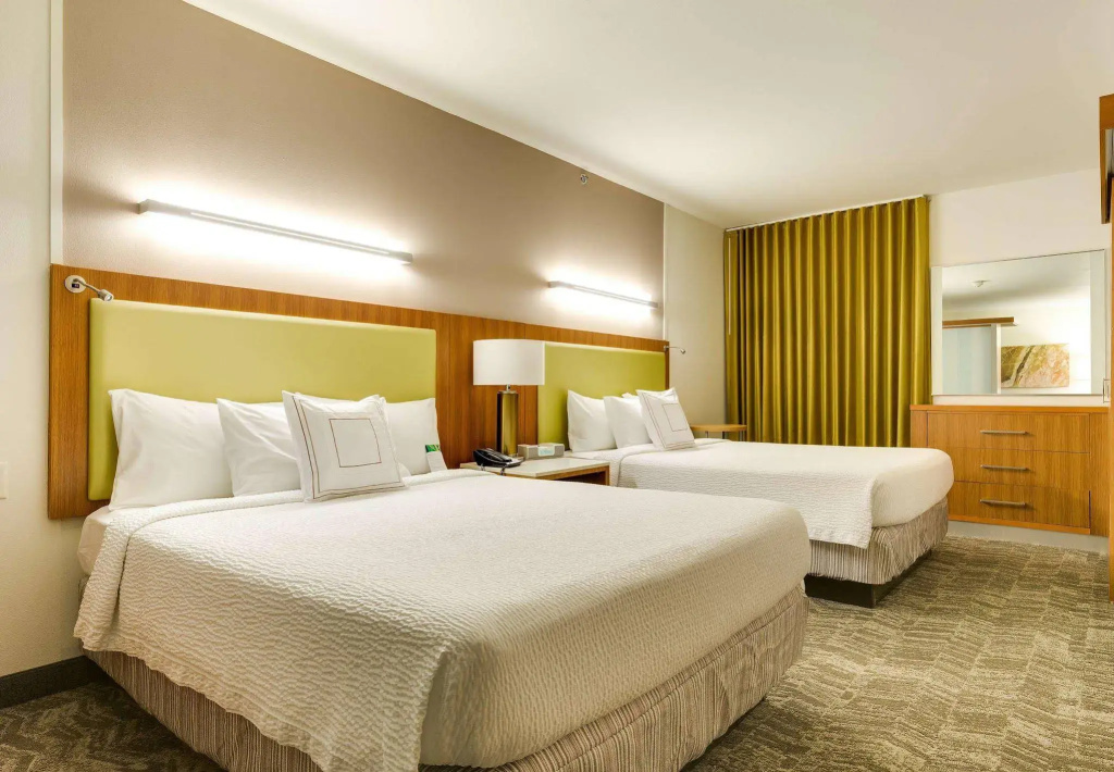 SpringHill Suites by Marriott McAllen Convention Center - Général