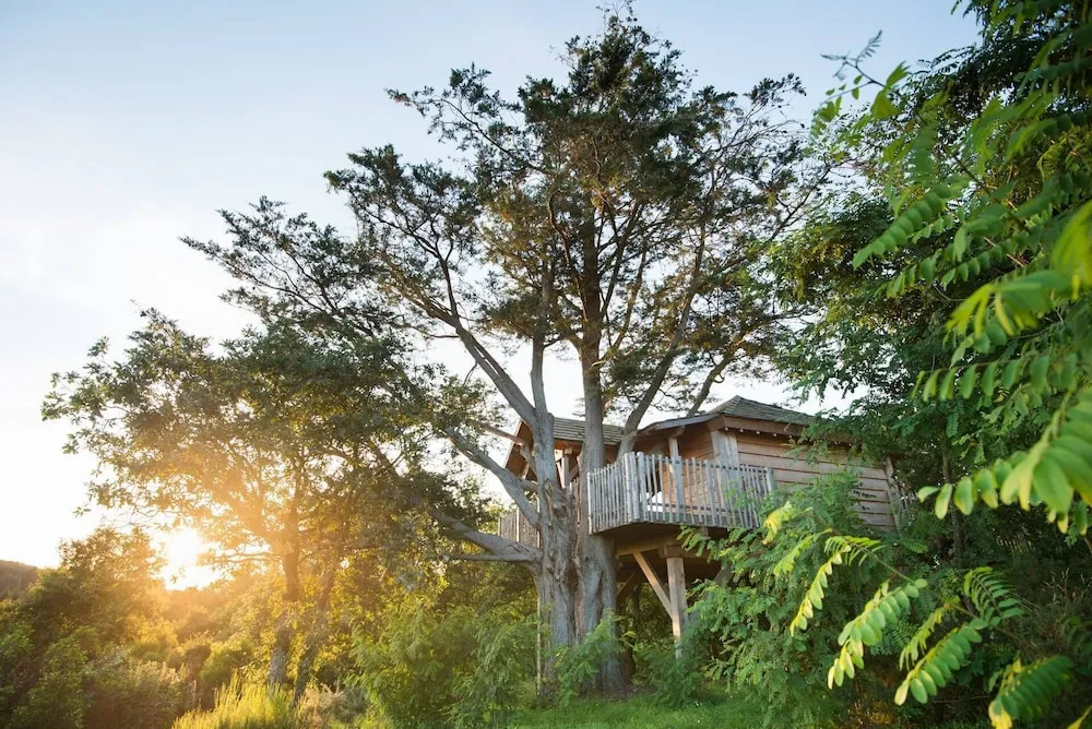 La Grée des Landes, Eco-Hôtel Spa Yves Rocher - Général