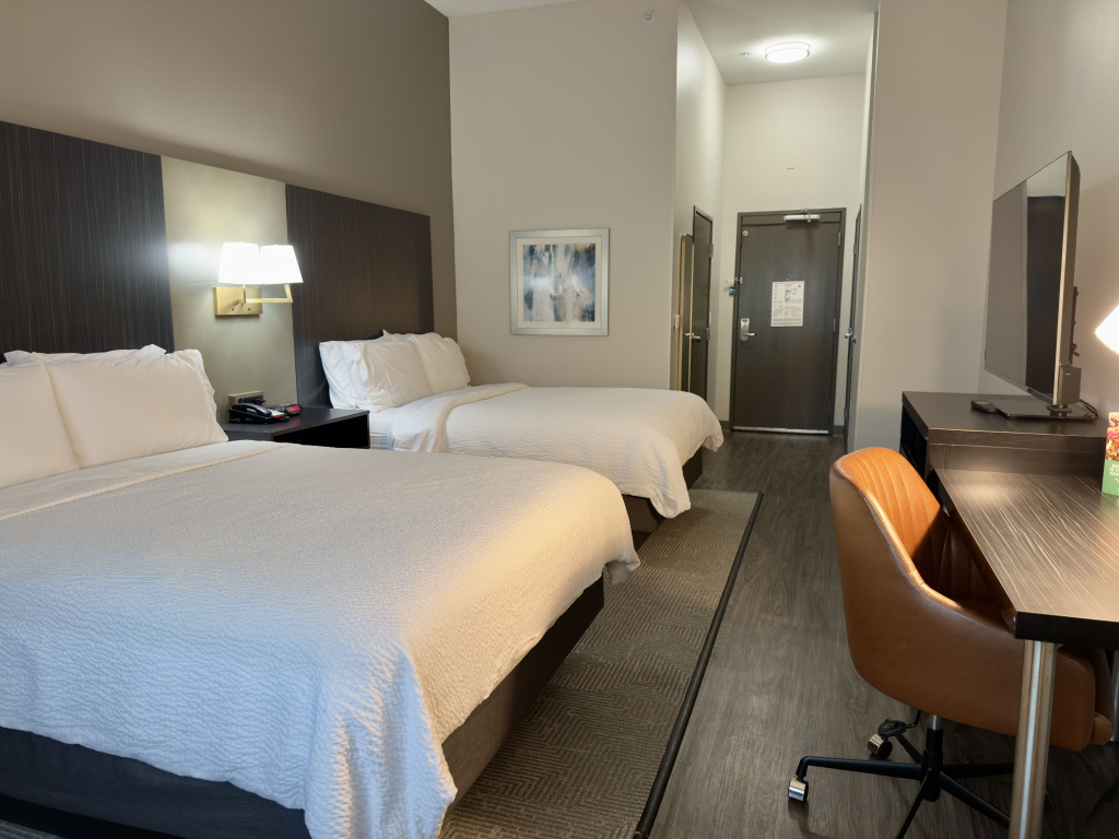 Holiday Inn Carlsbad by IHG - Général