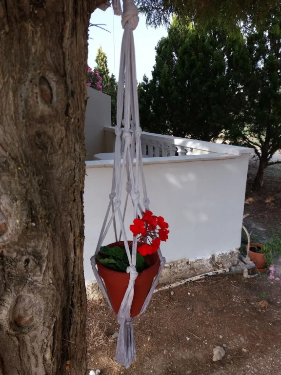 1 Bedroom Apartment with balcony