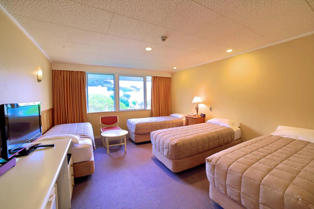 Brentwood Hotel Wellington - Général