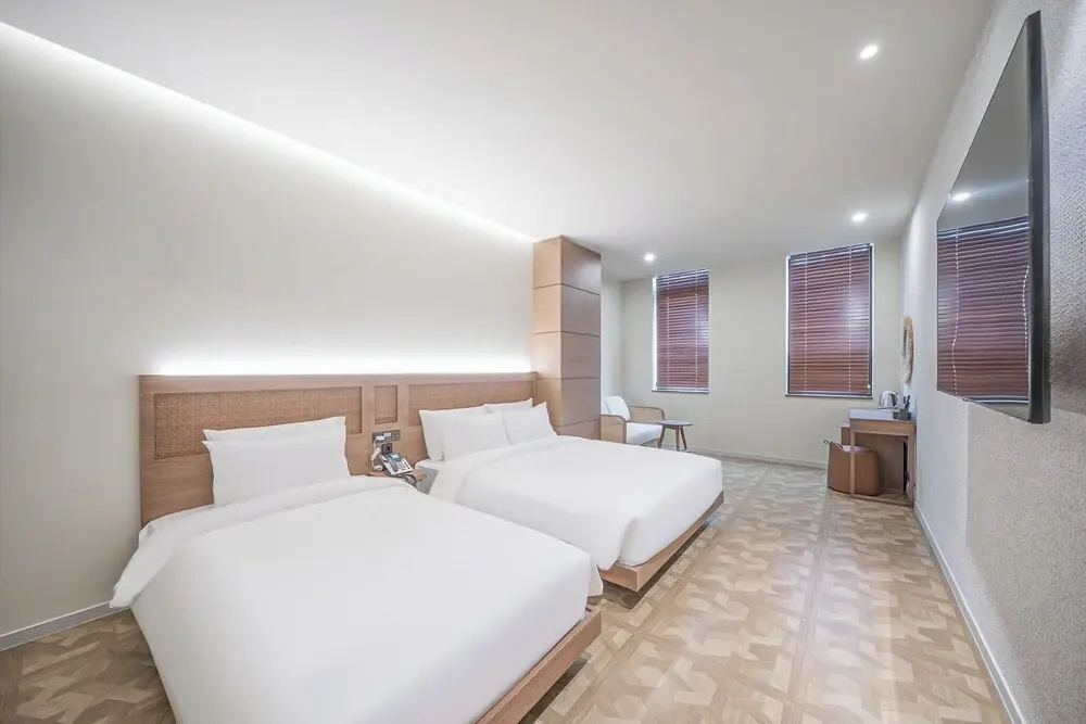 Deluxe Double room with city view (twin beds)