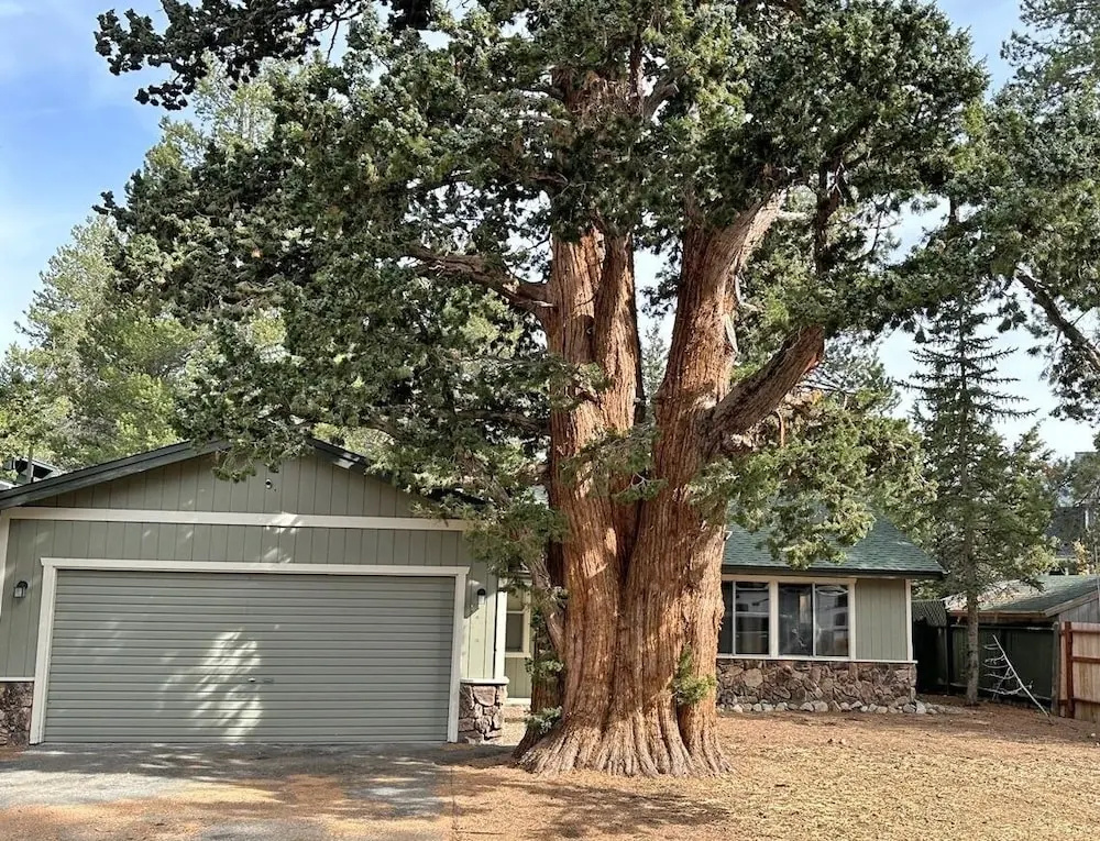 1987 Cherokee St. 3 Bedroom Home by RedAwning