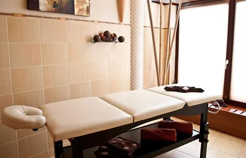 Dom Zdrojowy Diament Spa - Général
