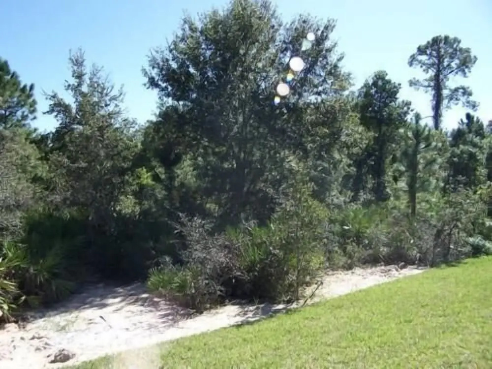 805 Sandy Ridge House 5 Bedroom by Florida Star