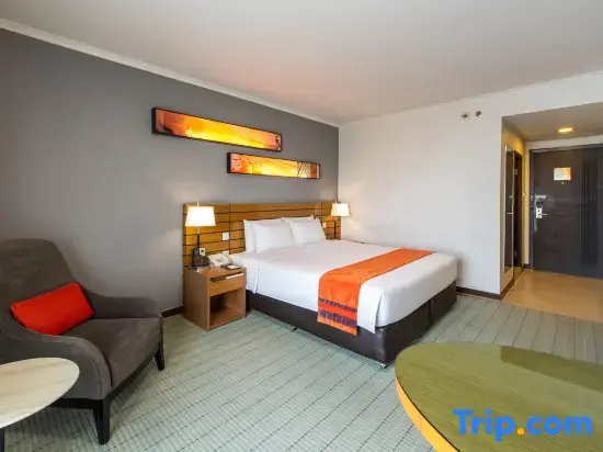 Deluxe Double room (full double bed)