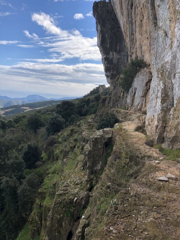 Image 30