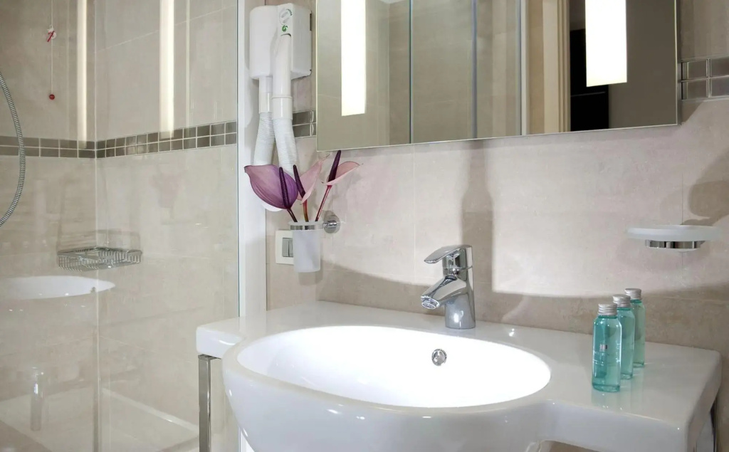 Mercure Rimini Artis - Général