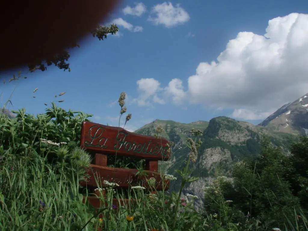 Chalet La Forestiere