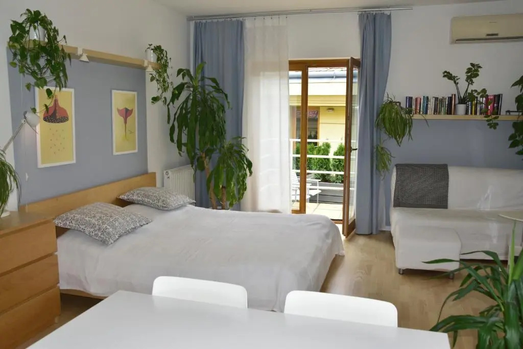 1 Bedroom Apartment