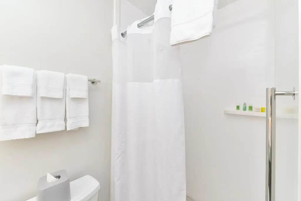 Holiday Inn Express New Orleans - St Charles (ex Modern Hotel) - Chambres