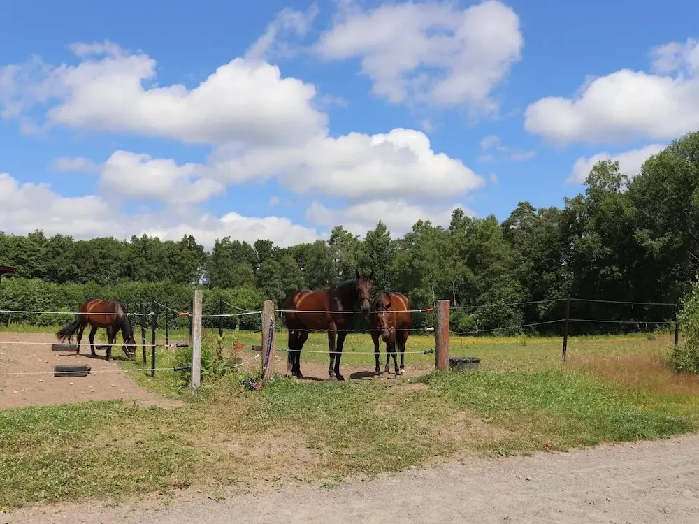 4 Star Holiday Home in Munka-ljungby