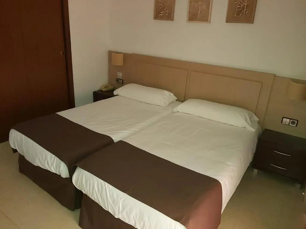 Standard Double room (twin beds)